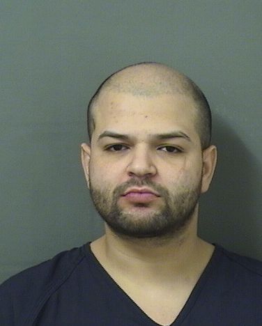  DANIEL ROBERTO GUZMANMEJIA Results from Palm Beach County Florida for  DANIEL ROBERTO GUZMANMEJIA