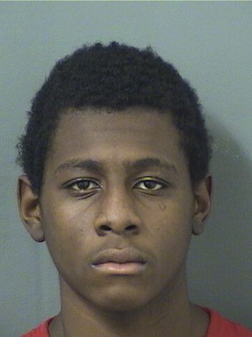  TREMAURI CHARLES Results from Palm Beach County Florida for  TREMAURI CHARLES