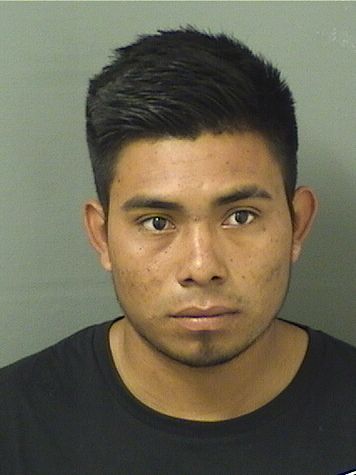  ALFRADO PEREZVALESQUEZ Results from Palm Beach County Florida for  ALFRADO PEREZVALESQUEZ
