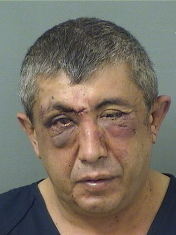  DANIEL A. DANIEL Resultados de la busqueda para Palm Beach County Florida para  DANIEL A. DANIEL