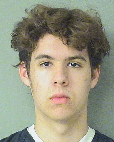  DAVID AT SIMPSON Photo