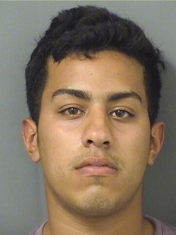  LUIS DAVID GARRIDOGARCIA Results from Palm Beach County Florida for  LUIS DAVID GARRIDOGARCIA