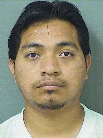  CANDIDO ENRIQUE PASCUALTOMAS Results from Palm Beach County Florida for  CANDIDO ENRIQUE PASCUALTOMAS