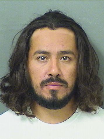  DAVID VIVAS Results from Palm Beach County Florida for  DAVID VIVAS
