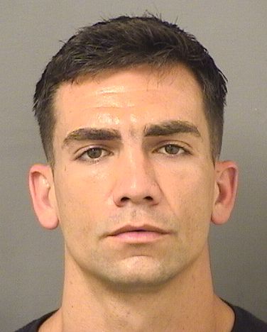  MICHAEL JOSEPH MCGILLIS Resultados de la busqueda para Palm Beach County Florida para  MICHAEL JOSEPH MCGILLIS