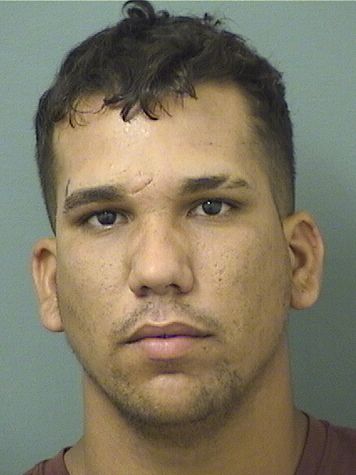  ROGELIO NARANDORODRIGUEZ Results from Palm Beach County Florida for  ROGELIO NARANDORODRIGUEZ