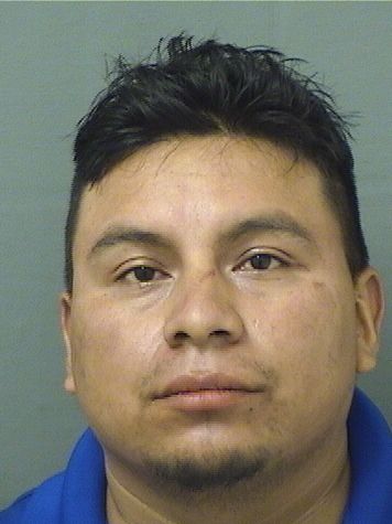  MATEO NICOLASPEDRO Results from Palm Beach County Florida for  MATEO NICOLASPEDRO