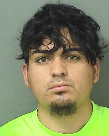  NOEL MAURICIO GUAJARDOBRIONES Results from Palm Beach County Florida for  NOEL MAURICIO GUAJARDOBRIONES