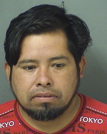  PEDRO PEREZPEREZ Results from Palm Beach County Florida for  PEDRO PEREZPEREZ