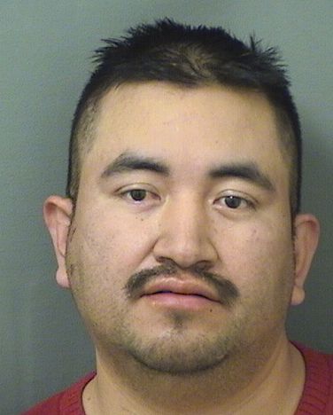  ELMER ADALBERTOARTEMINO ORTIZPEREZ Results from Palm Beach County Florida for  ELMER ADALBERTOARTEMINO ORTIZPEREZ