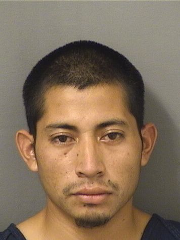  DIONICIO LOPEZCASTRO Results from Palm Beach County Florida for  DIONICIO LOPEZCASTRO