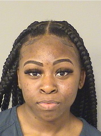  ANDREA NICOLE JOHNSON Results from Palm Beach County Florida for  ANDREA NICOLE JOHNSON