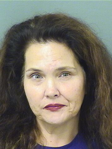  ELIZABETH EVELYN MURILLO Results from Palm Beach County Florida for  ELIZABETH EVELYN MURILLO