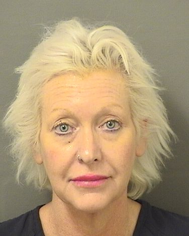  DIANE DENISE MARICLE Results from Palm Beach County Florida for  DIANE DENISE MARICLE