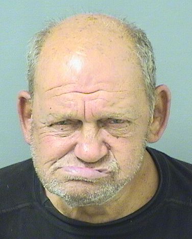  RONALD DUBIN Results from Palm Beach County Florida for  RONALD DUBIN