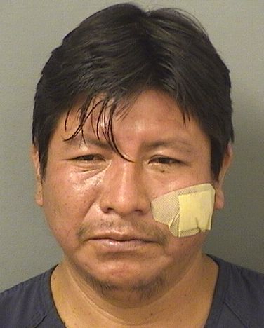  LUIS ANGEL VASQUEZTOMAS Resultados de la busqueda para Palm Beach County Florida para  LUIS ANGEL VASQUEZTOMAS