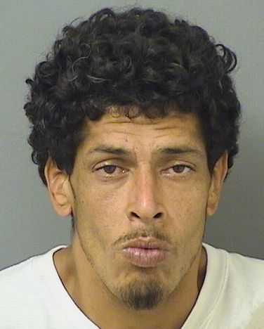 WILLIAM Jr FONTANEZ Results from Palm Beach County Florida for WILLIAM Jr FONTANEZ WILLIAM Jr FONTANEZ Results from Palm Beach County Florida for WILLIAM Jr FONTANEZ