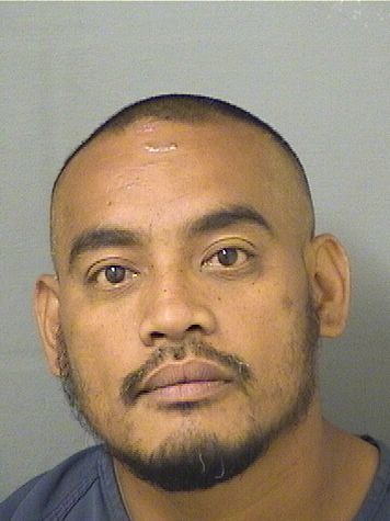  MAVERICK A BANASZEWSKI Results from Palm Beach County Florida for  MAVERICK A BANASZEWSKI