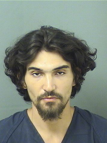  LOGAN DIAMOND YANNIE Results from Palm Beach County Florida for  LOGAN DIAMOND YANNIE