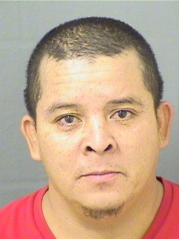  JOSE ALFREDO TORRESMURILLO Results from Palm Beach County Florida for  JOSE ALFREDO TORRESMURILLO