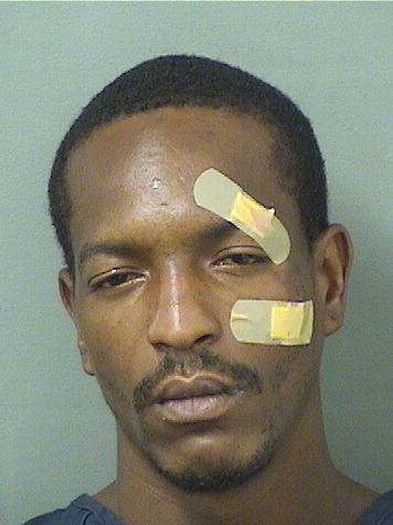  JUSTIN L MCCRAY Results from Palm Beach County Florida for  JUSTIN L MCCRAY