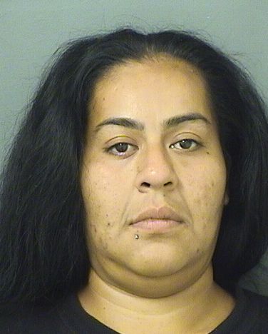  PAULA MORALES Results from Palm Beach County Florida for  PAULA MORALES