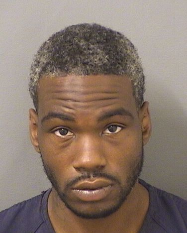  DANTON PATRICK Results from Palm Beach County Florida for  DANTON PATRICK