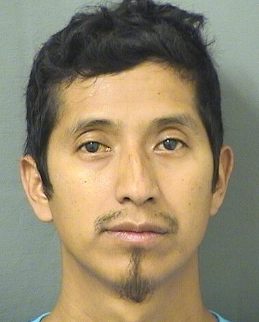  GASPAR SILVESTREMENDOZA Resultados de la busqueda para Palm Beach County Florida para  GASPAR SILVESTREMENDOZA