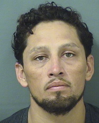  JONATHAN F REBOLLEDO Resultados de la busqueda para Palm Beach County Florida para  JONATHAN F REBOLLEDO