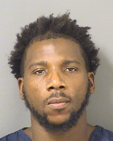  JOSHUA ANDRE PEE Results from Palm Beach County Florida for  JOSHUA ANDRE PEE