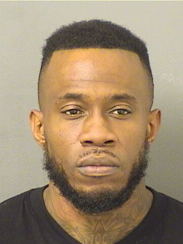  RENALDO TRUMAINE WILLIAMS Results from Palm Beach County Florida for  RENALDO TRUMAINE WILLIAMS