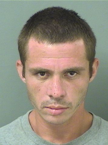  ERIC ROBERT REVELLO Results from Palm Beach County Florida for  ERIC ROBERT REVELLO