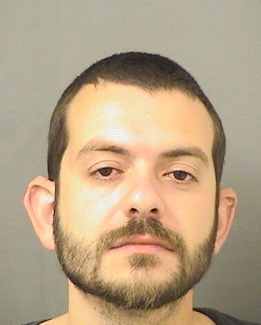  BRANDON LEE MANGAN Results from Palm Beach County Florida for  BRANDON LEE MANGAN