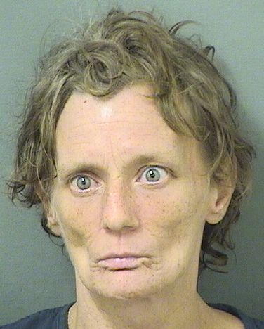  MECHELLE GAUTHIER Results from Palm Beach County Florida for  MECHELLE GAUTHIER