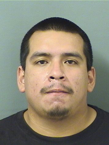  ALEX JOSE MARTINEZ Results from Palm Beach County Florida for  ALEX JOSE MARTINEZ