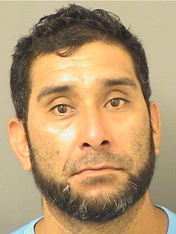  MAURO CHIMALRODRIGUEZ Results from Palm Beach County Florida for  MAURO CHIMALRODRIGUEZ