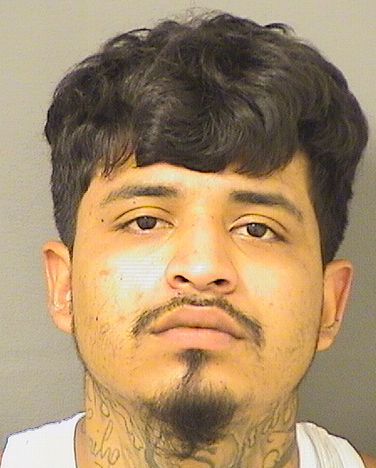  FERNANDO E VUSTILLOS Results from Palm Beach County Florida for  FERNANDO E VUSTILLOS