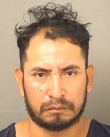 CAROLOS LUCAS Results from Palm Beach County Florida for CAROLOS LUCAS CAROLOS LUCAS Results from Palm Beach County Florida for CAROLOS LUCAS