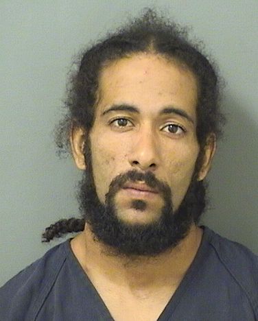  SEAN L POWELL Results from Palm Beach County Florida for  SEAN L POWELL