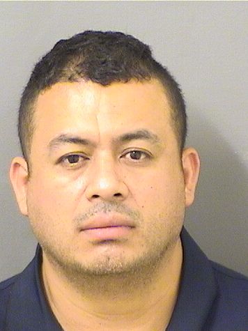 DAVID LOPEZ Results from Palm Beach County Florida for DAVID LOPEZ DAVID LOPEZ Results from Palm Beach County Florida for DAVID LOPEZ