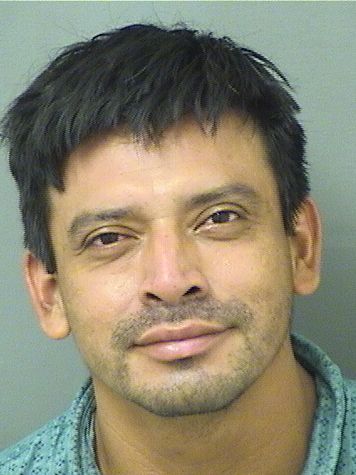  JERSON JUAREZMENDEZ Results from Palm Beach County Florida for  JERSON JUAREZMENDEZ