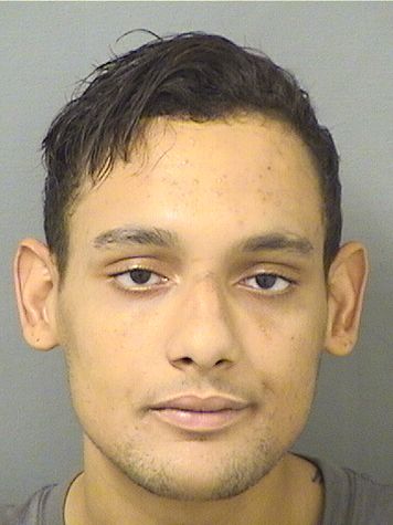  TOMAS XAVIER COLLIER Results from Palm Beach County Florida for  TOMAS XAVIER COLLIER