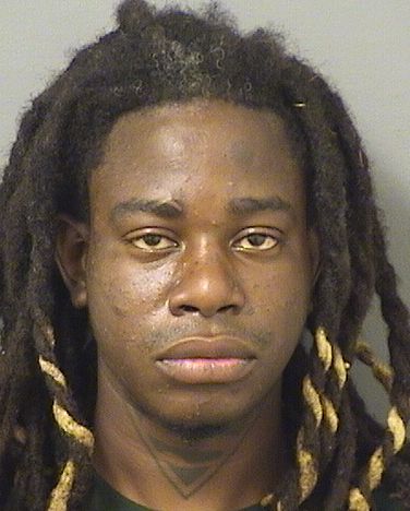  EMMANUEL SANON Results from Palm Beach County Florida for  EMMANUEL SANON