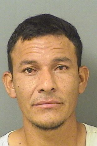  MIGUEL HUMBERTO SEVILLACOLINDRES Results from Palm Beach County Florida for  MIGUEL HUMBERTO SEVILLACOLINDRES
