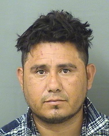  GERSON ADALID SANTOSLARA Results from Palm Beach County Florida for  GERSON ADALID SANTOSLARA