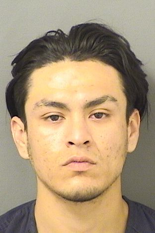  RICHARDO BURGARA Results from Palm Beach County Florida for  RICHARDO BURGARA