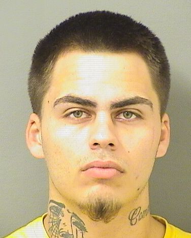 JOSHUA CRIST Results from Palm Beach County Florida for  JOSHUA CRIST  JOSHUA CRIST Results from Palm Beach County Florida for  JOSHUA CRIST