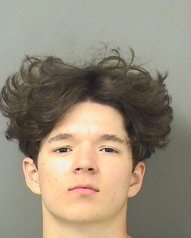 WILLIAM J PENENORI Results from Palm Beach County Florida for WILLIAM J PENENORI WILLIAM J PENENORI Results from Palm Beach County Florida for WILLIAM J PENENORI