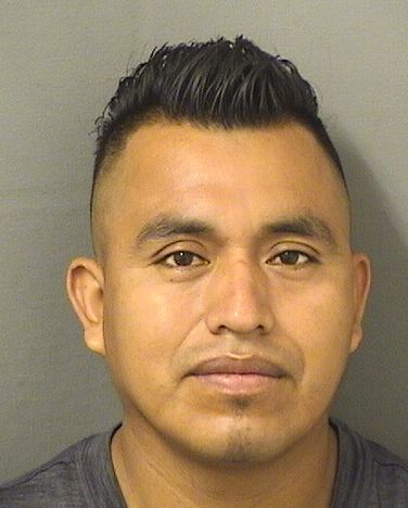  ARMANDO N TZAJALVAREZ Results from Palm Beach County Florida for  ARMANDO N TZAJALVAREZ