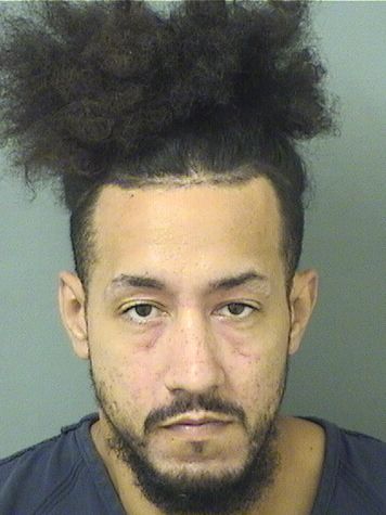  WILFREDO P MALDONADO Resultados de la busqueda para Palm Beach County Florida para  WILFREDO P MALDONADO